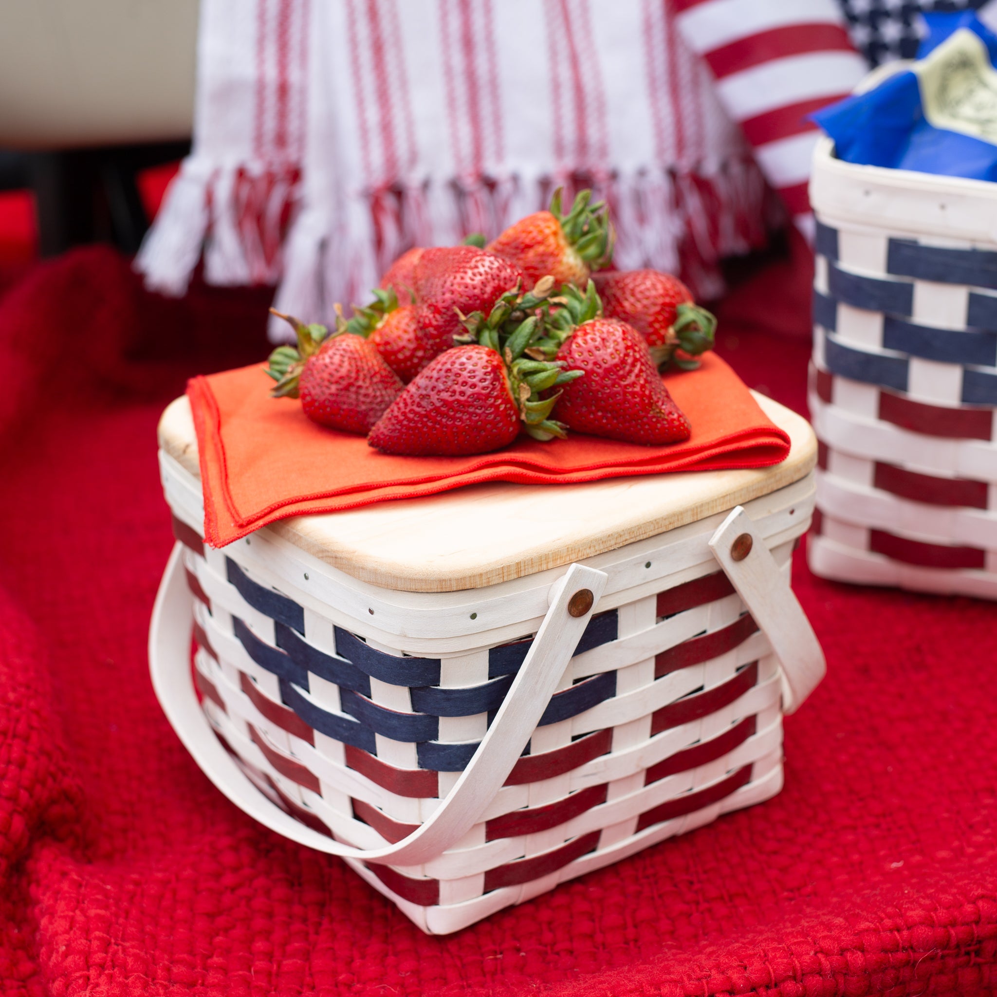 Americana Provision Picnic Basket with Lid and Protectors - White - Image 10