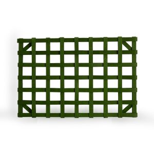 1896 Placemat - Bold Green