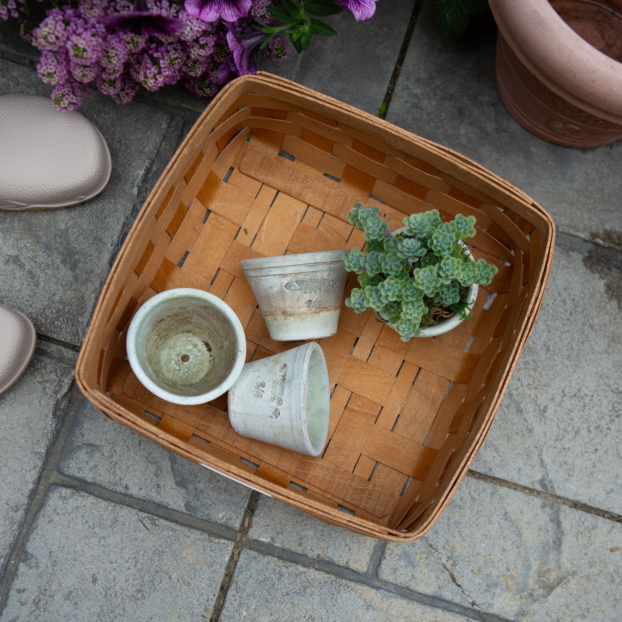 Collector's Essentials Medium Square Basket with Protector - Image 6