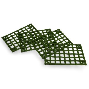 1896 Placemat Set - Bold Green