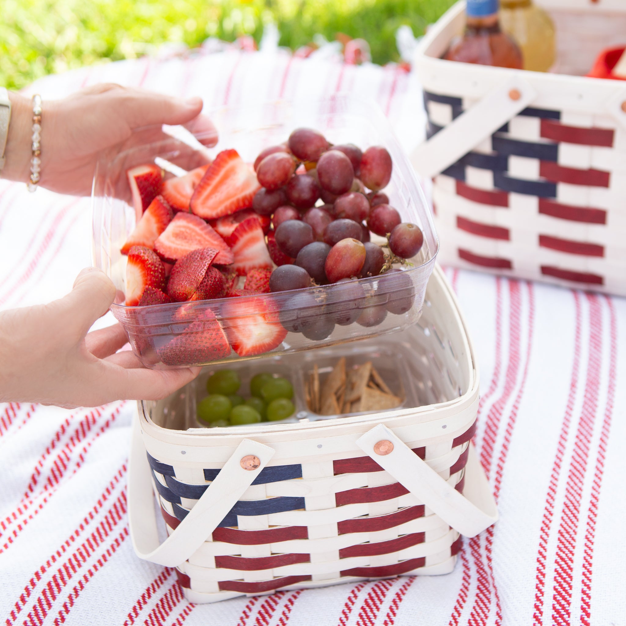 Spring Provision Picnic Basket with Protectors - Blueberry - Image 7