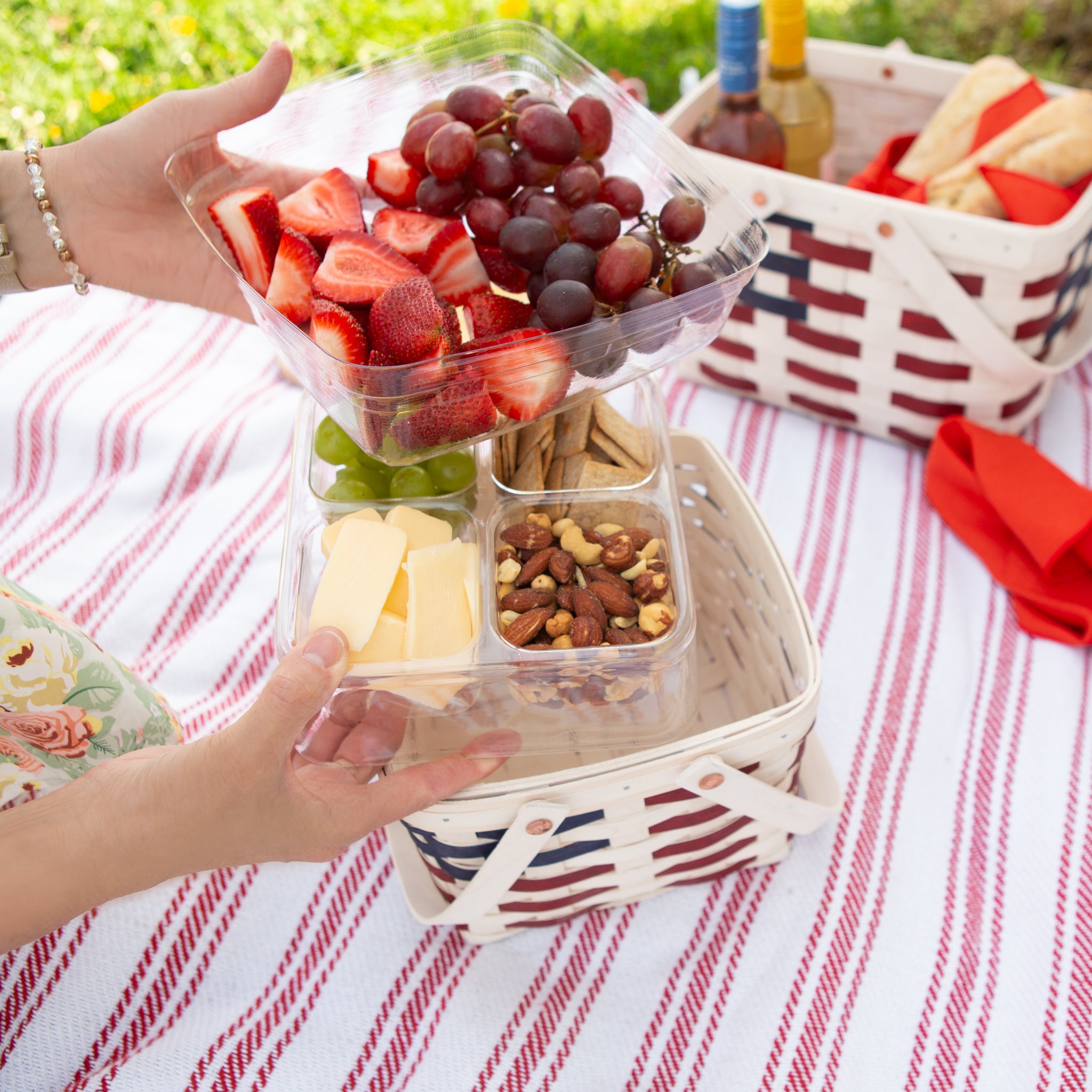 Spring Provision Picnic Basket with Protectors - Blueberry - Image 5